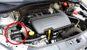 coxins e suporte do motor